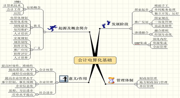 会计电算化知识点第一章