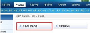 会计从业资格考试